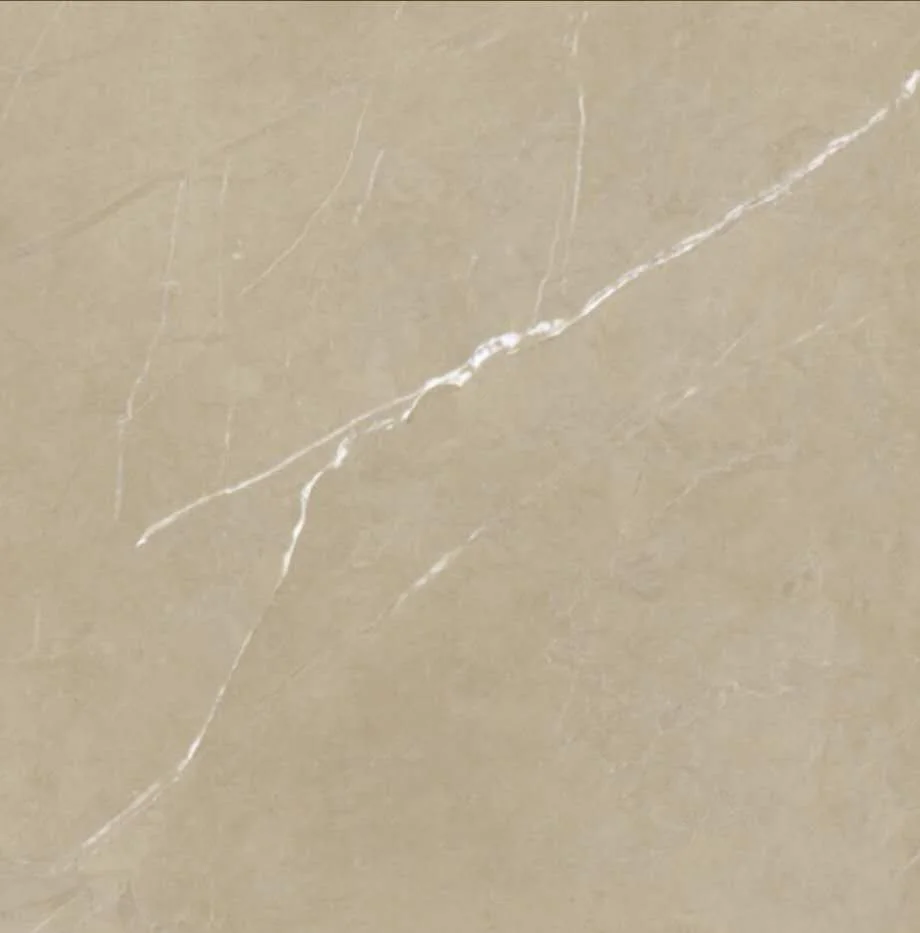 CT1501 — tile surface detail