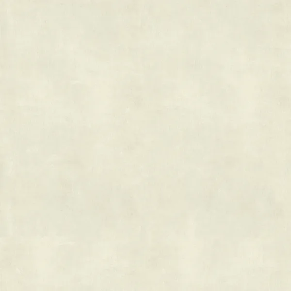 CT1511 — tile surface detail