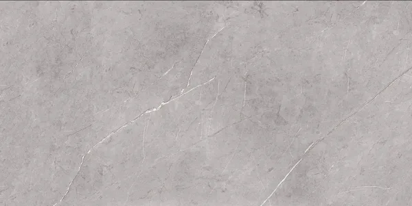 CT2201 — tile surface detail
