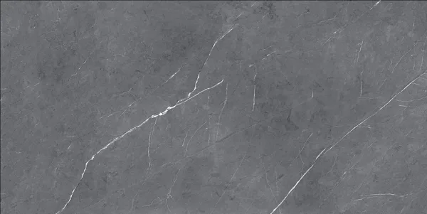 CT2202 — tile surface detail