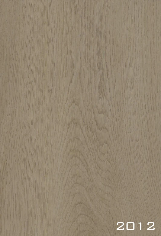 Rhino 2012 SPC flooring surface scan supplied by the owner