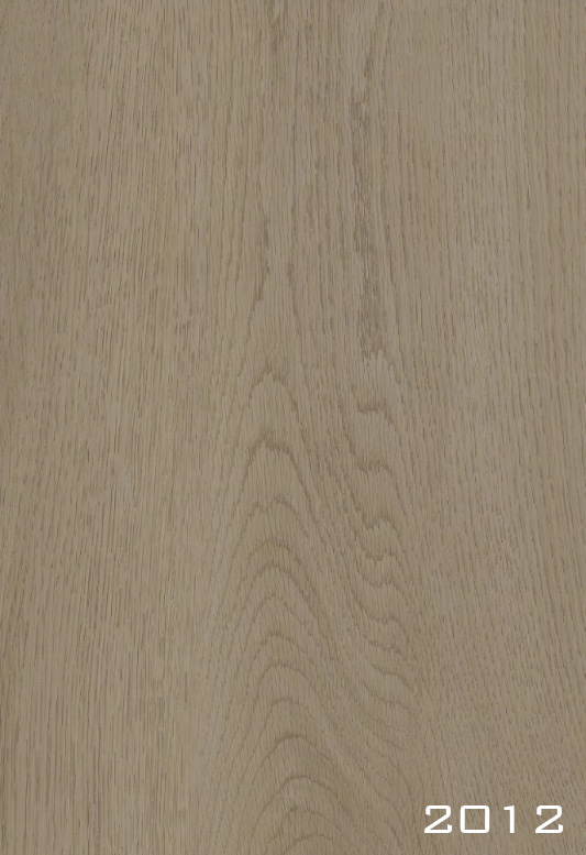 Rhino 2012 SPC flooring surface scan supplied by the owner