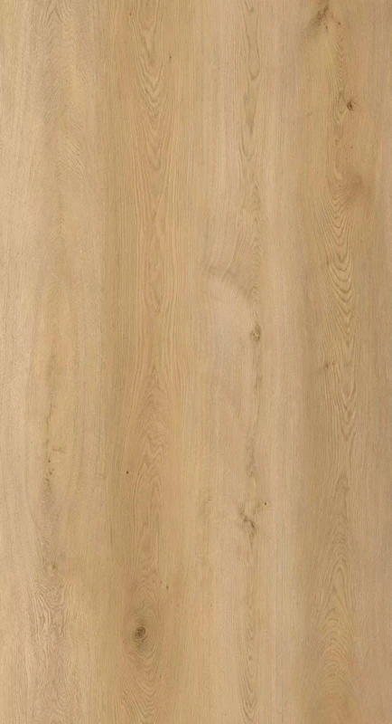 Rhino 9812 SPC flooring surface scan supplied by the owner
